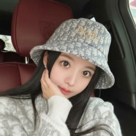 디올 오블리크 자가드 버킷햇 [그레이]