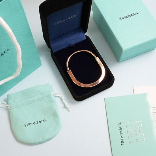 티파니앤코 락 로제 에디션 핑크 사피이어 뱅글